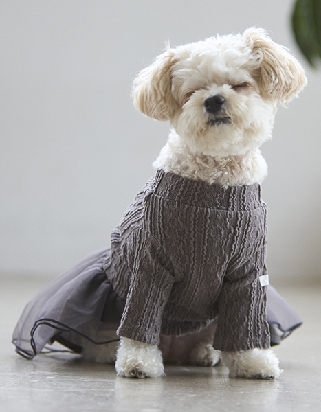 petit main dog wear Winter Collection 2024.11