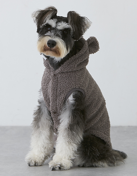 petit main dog wear Winter Collection 2024.11