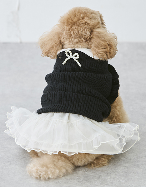 petit main dog wear Winter Collection 2024.11