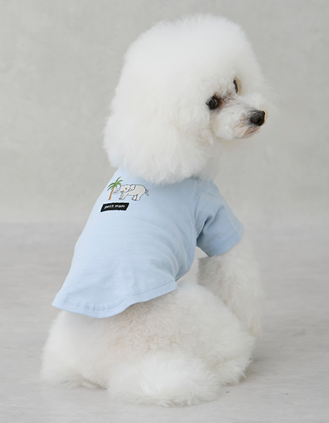 petit main dog Summer Collection 2025.6