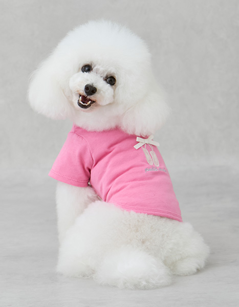 petit main dog Summer Collection 2025.6