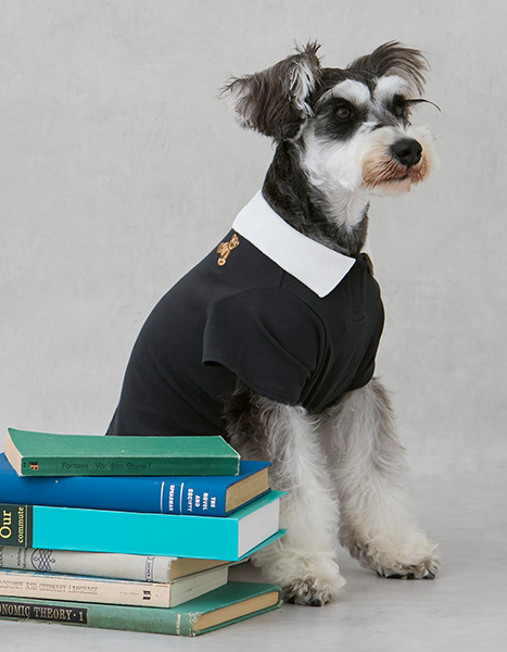 petit main dog Summer Collection 2025.6