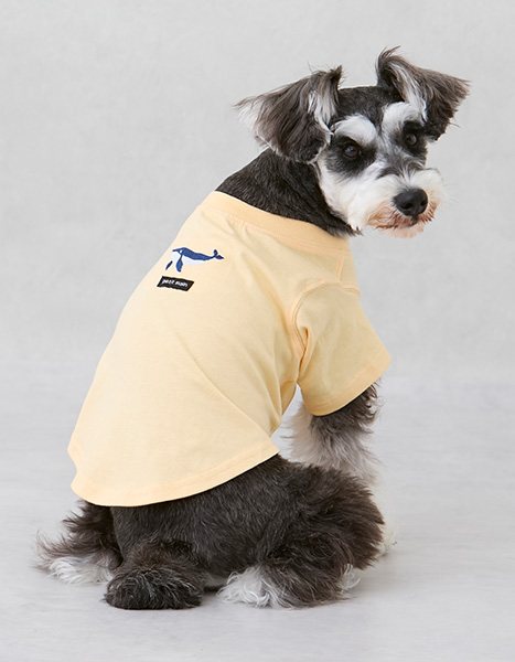 petit main dog Summer Collection 2025.6