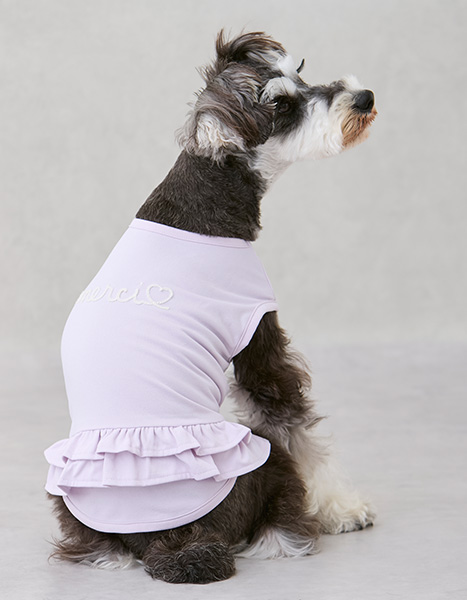 petit main dog Summer Collection 2025.6