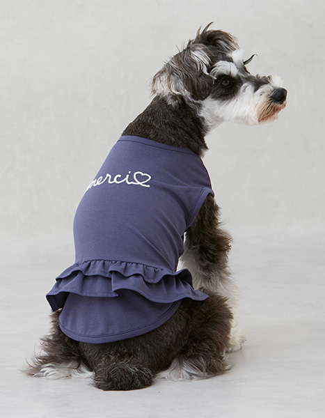 petit main dog Summer Collection 2025.6