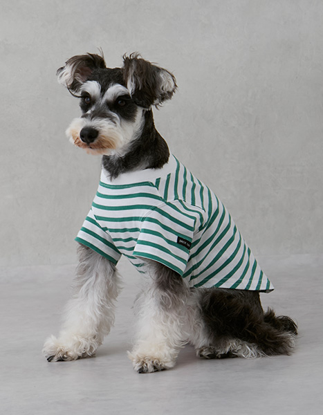 petit main dog Summer Collection 2025.6