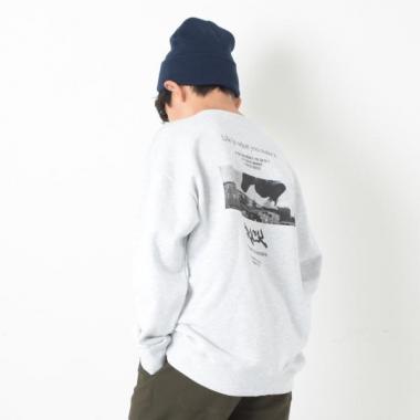 【再入荷】【プチプラ】【あったか】裏起毛・アソートバックフォトプリントトレーナー